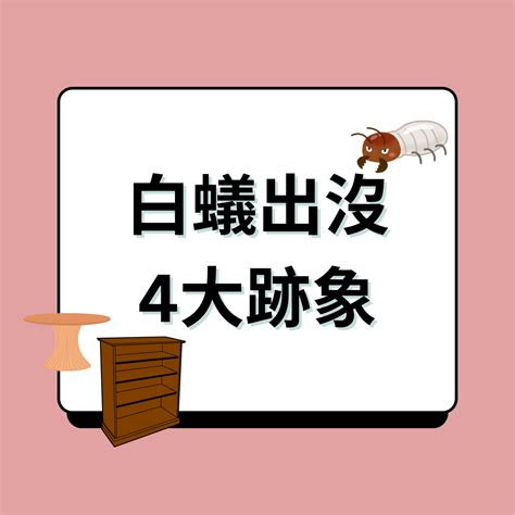 家裡 白蟻|消滅白蟻攻略｜白蟻入屋數月可吃光家具 拆解4個入屋 